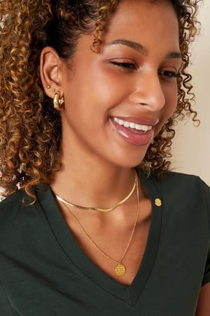 collar de acero inoxidable Plata h5 Imagen2